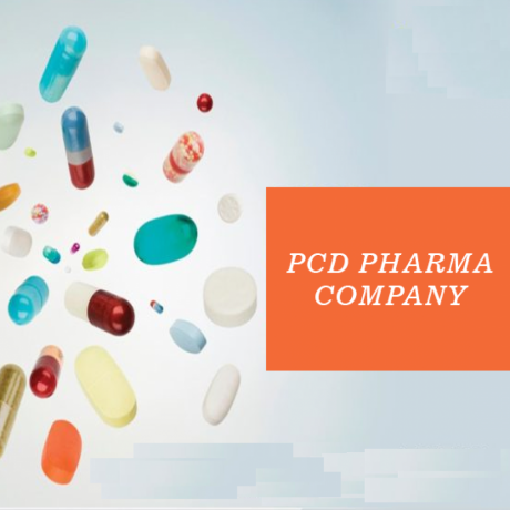 Haryana Based PCD Pharma Franchise Company 1