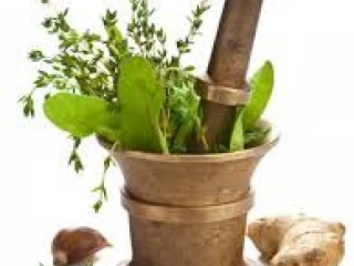 Ayurvedic Liver Tonic Manufacturers in Haryana