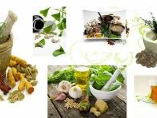 Ayurvedic Food Suppliments