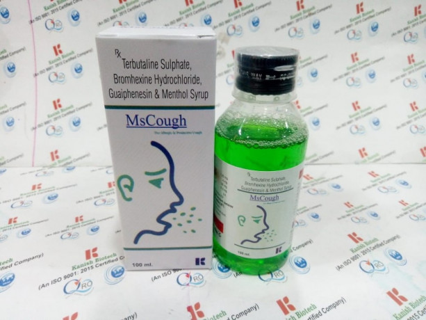 Terbutaline silphate,Bromhexine hydrocholoride,Guaiphensin & Menthol syrup 1