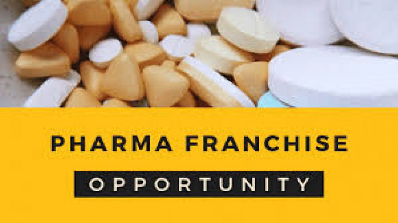 Pharma Franchise in Ambala 1