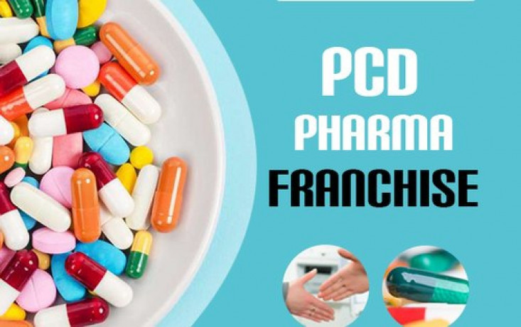 Top PCD Franchise Company in Manimajra 1