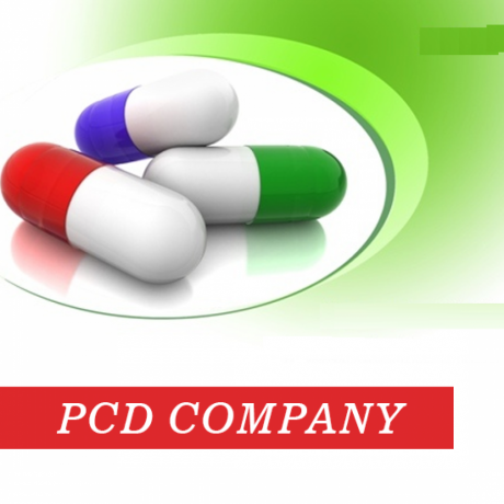 Top PCD Company in Delhi 1
