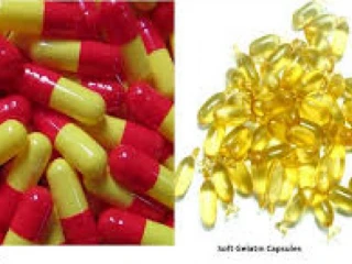 Hard and Soft Gel Capsules Manufacturer