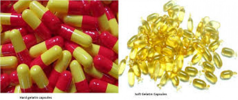Hard and Soft Gel Capsules Manufacturer 1