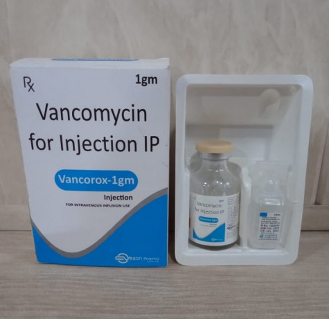 VANCOMYCIN INJECTION 1
