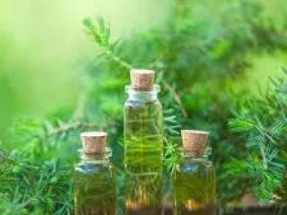 Ayurvedic Pain Oil Manufacturers in Aurangabad