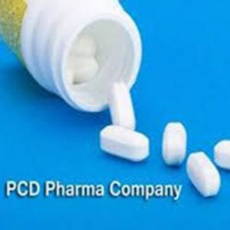 Gujarat Based PCD Pharma Company 1