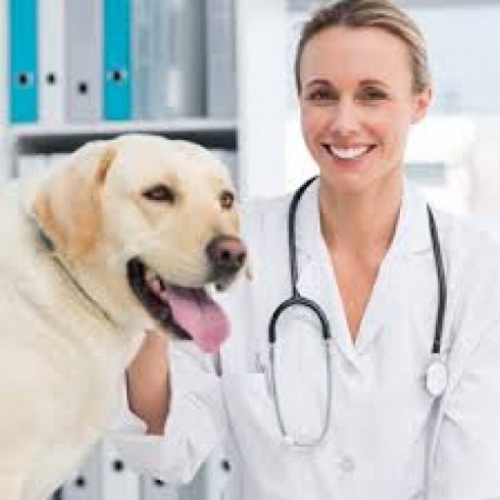 Veterinary Medicine Franchise Company 1