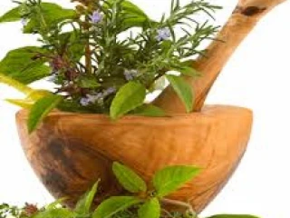 Ayurvedic Pharma Franchise Company