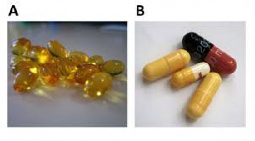Pharma Capsules Supplier in Panchkula 1